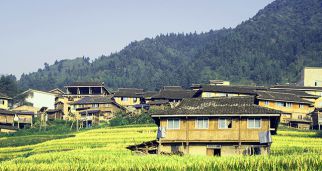 夯实乡村振兴基础，走出新时代发展路径